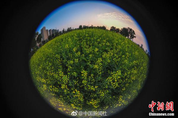 “只警告不處罰”！多地明確→