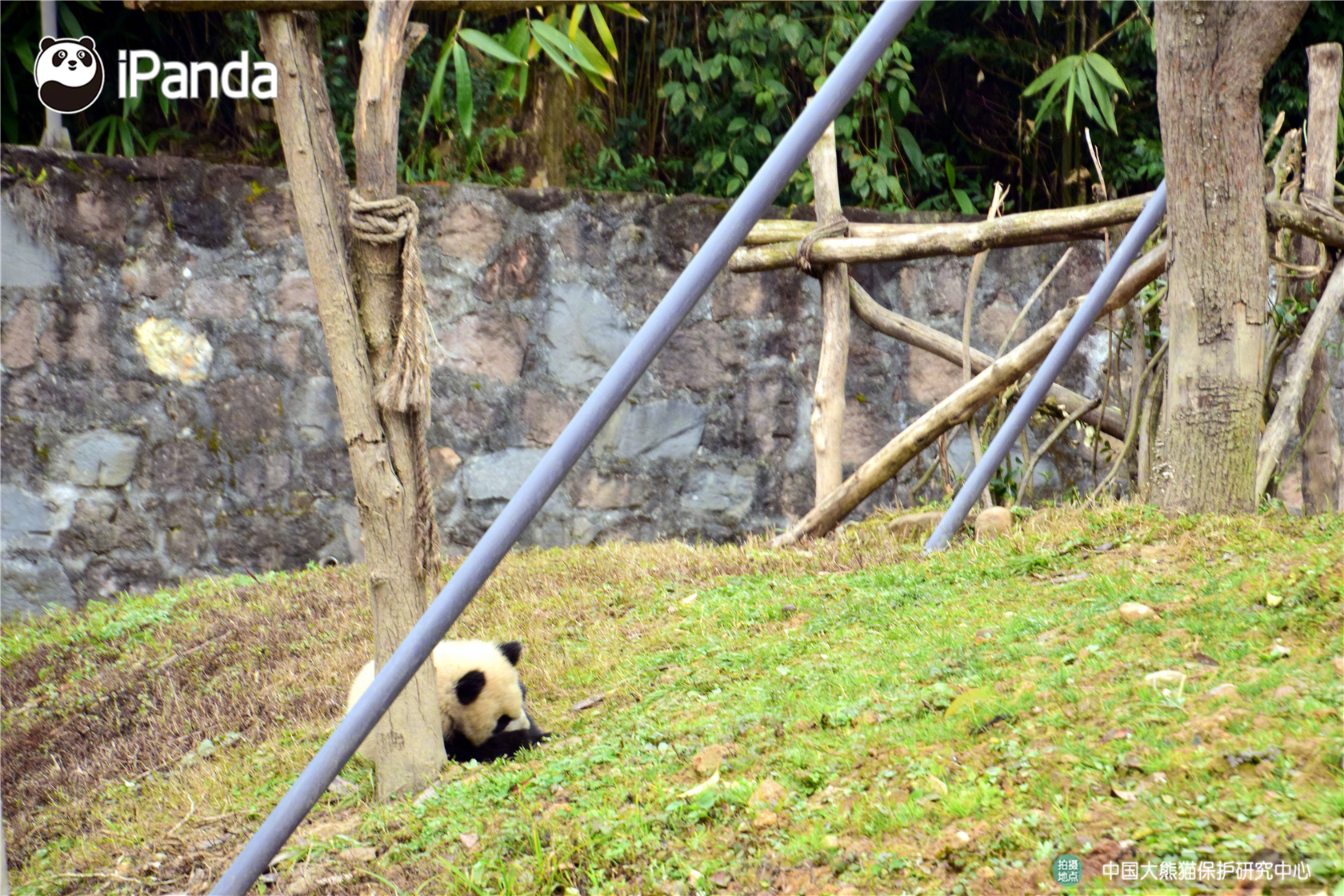 愛(ài)崗敬業(yè)勇?lián)?dāng) 務(wù)實(shí)苦干為客戶(hù)——忻州聯(lián)通政企客戶(hù)事業(yè)部郭文境