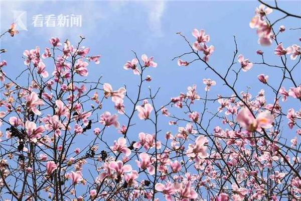 五月天阿信康復(fù)后道歉，后續(xù)演唱會(huì)要拿出最好狀態(tài)
