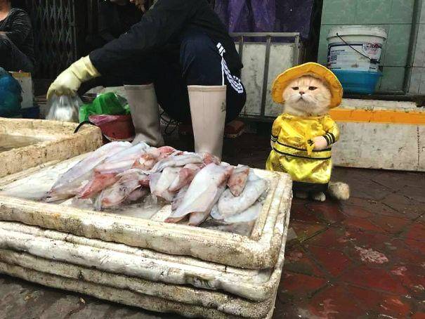 維護(hù)工程師老曹的一天