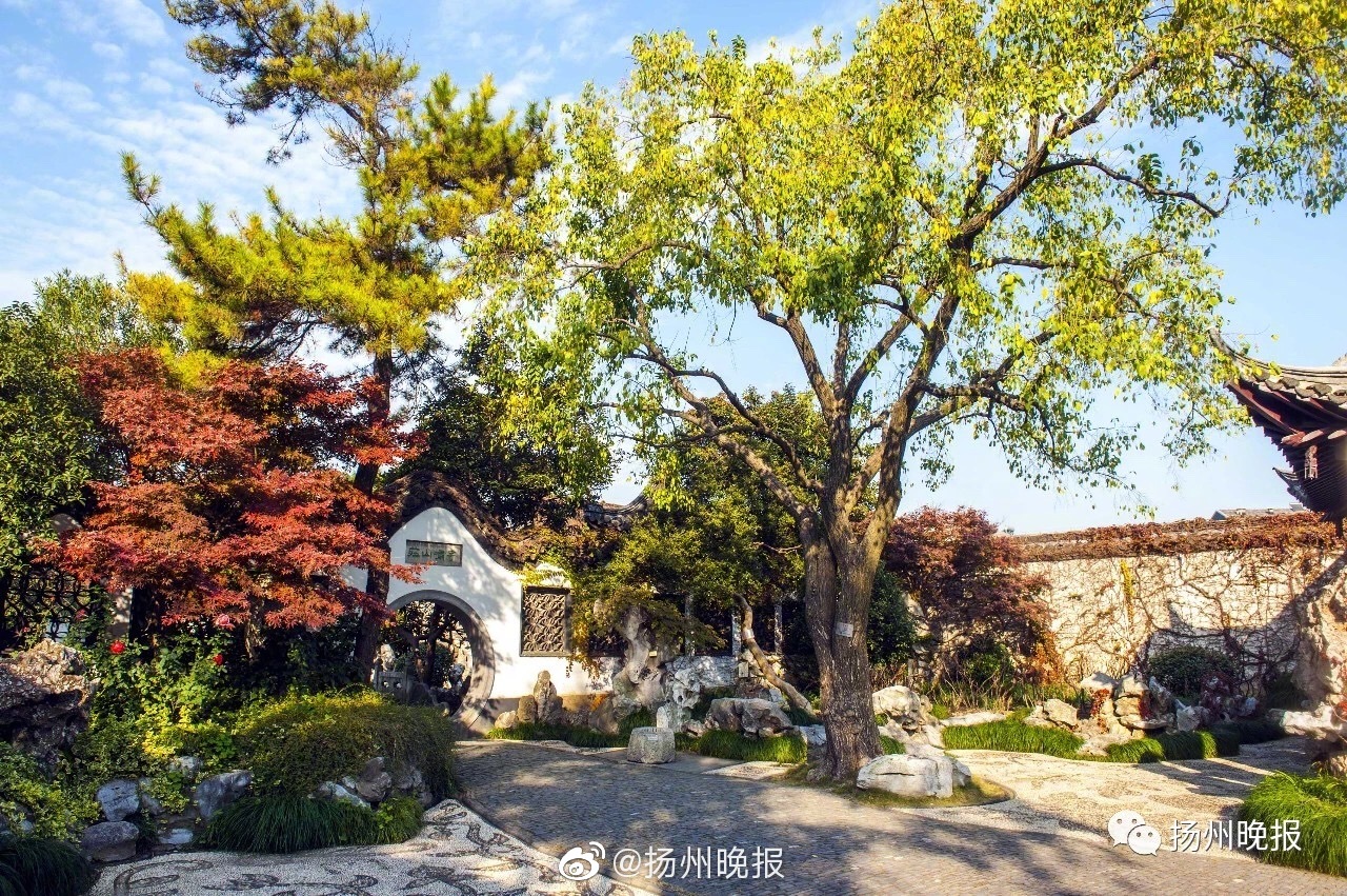 馬桶里裝攝像機(jī)，機(jī)械臂上掛蜘蛛準(zhǔn)備好被搞笑諾貝爾獎(jiǎng)笑死了么