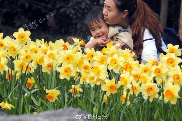 緊抓數(shù)智化“風(fēng)口” ，順威精密釋放“乘數(shù)效應(yīng)”