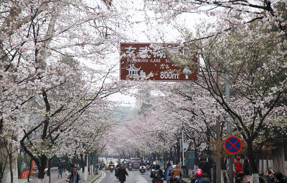 美的廚衛(wèi)：打造5G工廠(chǎng)， 實(shí)現(xiàn)全流程互聯(lián)互通