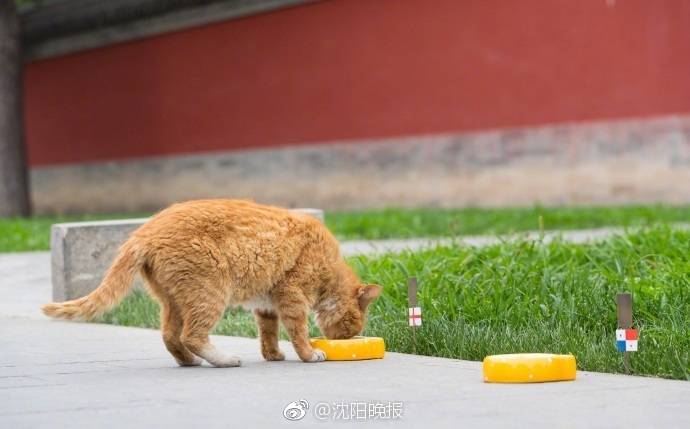 英媒：擔(dān)心需求不振，臺(tái)積電延遲接收芯片設(shè)備