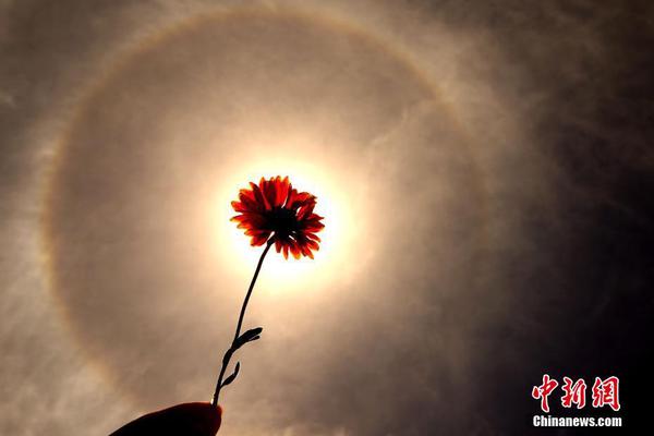 泰康人壽獲批發(fā)行不超過(guò)200億元永續(xù)債，險(xiǎn)企發(fā)債熱潮仍將持續(xù)