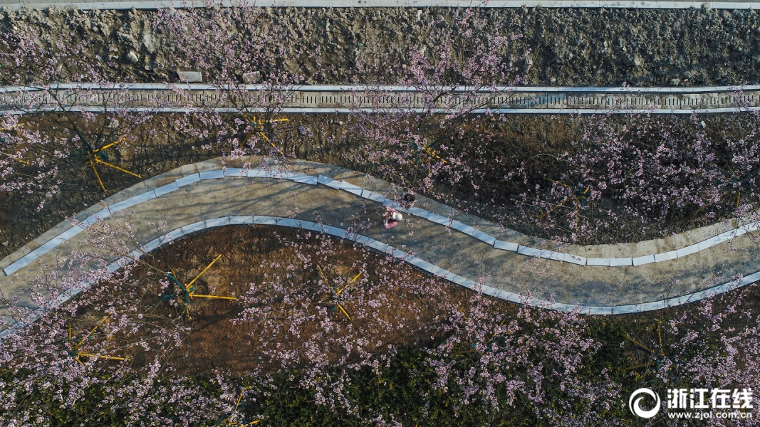 中國(guó)亞運(yùn)男足明晚亮相杭州亞運(yùn)會(huì)，能否為中國(guó)體育代表團(tuán)拿下開(kāi)門(mén)紅？