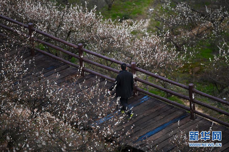 海南大學(xué)回應(yīng)“餐廳公司被強(qiáng)行解約”：合同到期