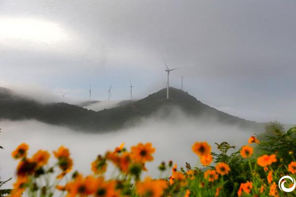 離海最遠(yuǎn)的地方也產(chǎn)海鮮了！中國(guó)電信新疆公司科技賦能水產(chǎn)業(yè)